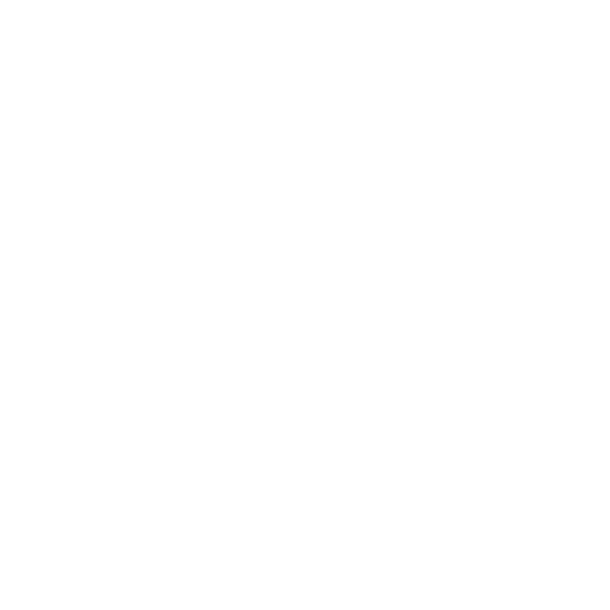 Logo BCI Leaders Program
